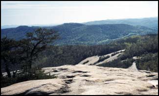 stone and peissage - The trails continue to climb along the face of Stone Mountain.The hardwood forest along the edge of the rock face is compromised of hickories, oaks and few pines.