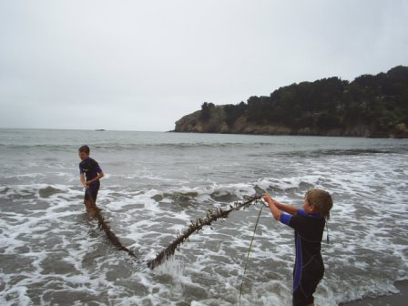 learning to bodysurf - Muir Beach, California