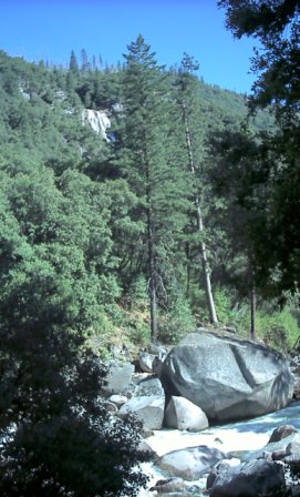 Yosemite -  California