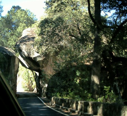Yosemite -  California