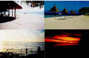 Bohol - one of the best place in the philippines! - Bohol is one of the best place in the philippines! we've been there March 2006. the guest came from all over the world there, the beach was so alive with star fish everywhere. we also went to the chocolate hills (a geological phenomena) we also went to the floating restaurant wc have a lot of the best filipino dishes in town,and we also went to see the tarsiers. tarsiers are primates that are already endangered spieces Bohol is the best. surely everyone who will visit there will have the best time! =)