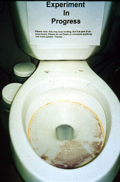 toilet bowl - disgusting public toilets
