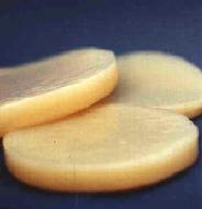Kombucha Mushroom - This is a picture of a Kombucha Mushroom from hawaii.