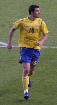 zlatan ibrahimovic - football player from sweden.was born in october 3, 1981..