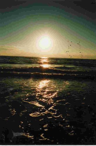 Florida - Here is a picture of Clearwater Beach, Florida during a sunset.