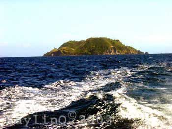 the beautiful apo island! - this is the apo island located in Dauin, Oriental Negros. and i am presently residing in that place. i am very proud of that tourist spot...what can you say about apo island? would you like to visit it if you have time?