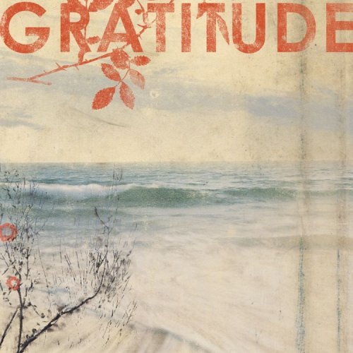 gratitude - gratitude diary