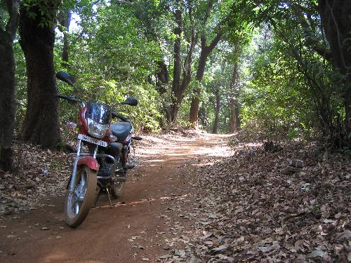 nature - bike and nature