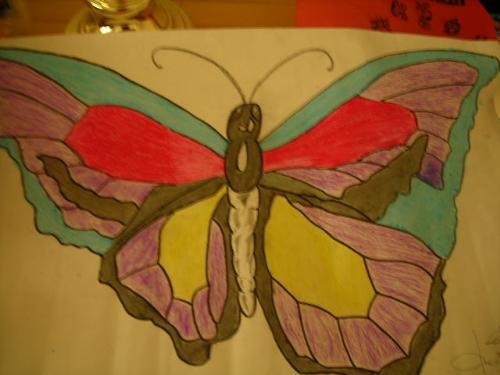 butterfly - butterfy it is