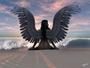 angel sunset - angels in the sunset
