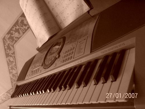 leisure pleasure.. - this is my youngest sis favourite keyboard. and mine too. we enjoy spending our leisure time together playing the keyboard, move and dance around the house. love it! i even discovered my hidden talent! i can actually play piano! and i can read the music notes too!! impressed my parents though!