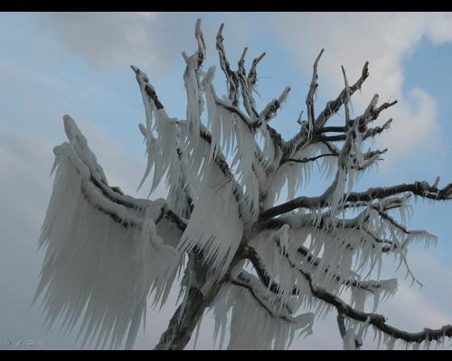 Winter in Switzerland - Winter in Switzerland. A lot of ice. Take a look. Very amazing nature event