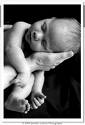 * - Black & white photograph of a newborn baby..
