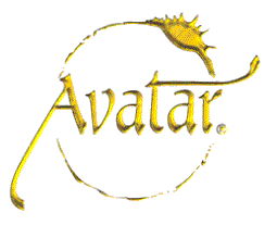 avatar - through avatar friends are able to recognized you