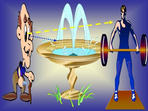 Fountain Of Youth? - Graphic representing &#039;Fountain of Youth&#039;