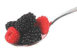 Berries - Spoonful of Berries