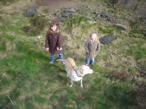 here is nero with the kids - This is our four year old golden labrador, playing with the kids, he has become an essential part of our family blessed be