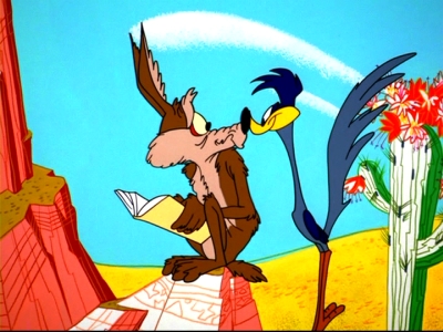 close up - Wile and that stupid roadrunner get close
