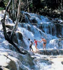 jamaica - jamaica nature