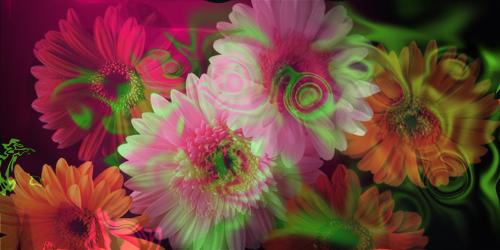 daisy  - I created this when I was board at work.