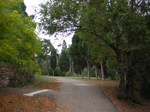 Buyukada in Istanbul, Turkey - This is a lovely view, from the Big Island, one of the islands near Istanbul.