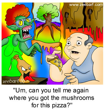 mushroom on pizza - psychedelic mushrooms