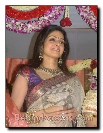 sridevi - actress