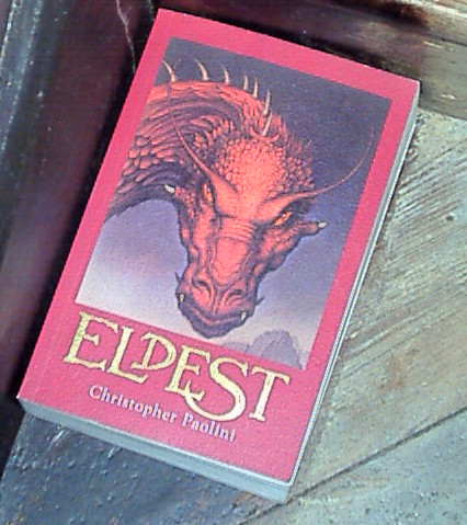 The cover of the book - The big mean dragon skulking around!