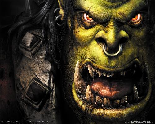 Warcraft - Warcraft, very good video game !!!