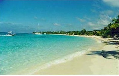 love the beach - these are pictures of beaches i love to visit...  white sand, blue water, with green trees around