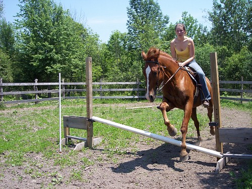 sheilana teaching Jaz to jump - Sheilan getting Jazzy used to being around jumps