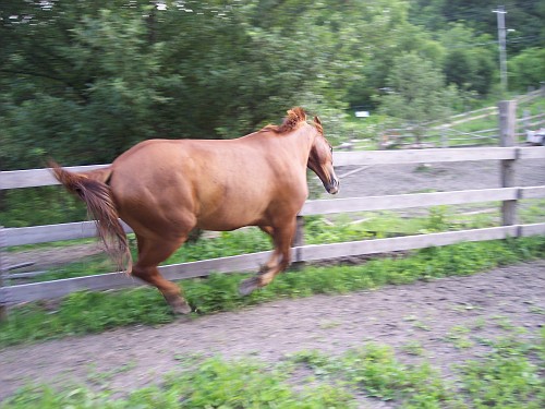 silly Jazz Boy - jazzy being silly
