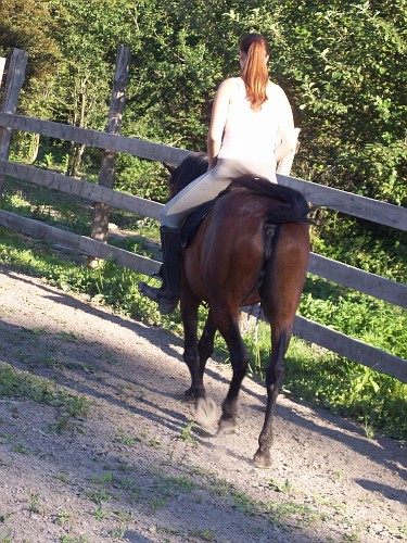silk and sheilana - riding