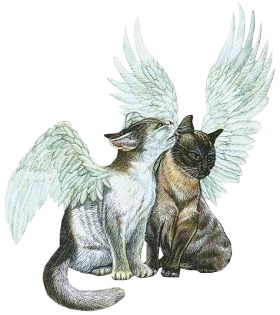 angel cats  - angel cats with wings