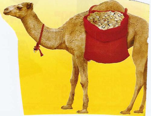 Camel - Camel with goods on him.