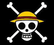 straw hats - straw hats jolly roger