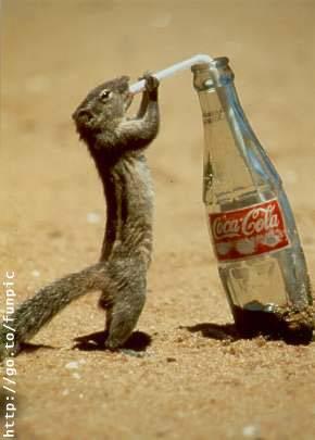 coca cola - i don't drink it...