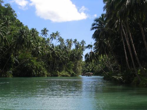 Loboc River, Bohol - Loboc is a 5th class municipality in the province of Bohol, Philippines. It is mere 24 km away from Tagbilaran City, the provincial capital of Bohol. According to the 2000 census, it has a population of 15,734 people in 2,738 households.  Loboc is known for its floating restaurants along the scenic and winding Loboc River. Tourists also come to see the tarsier, a small nocturnal animal with large eyes. It is one of the world's smallest primates. Unfortunately, the tarsiers here are kept in an inadequate cage, and better be observed in the Tarsier Sanctuary in Corella.