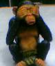 chimp - see no evil