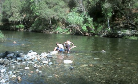 Swimming - Learning to swim