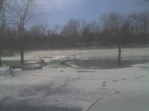 icy fun - K3 River area