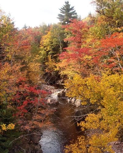 atumn stream - I loved this pic its is still one of my favs i had it enlarged and framed for my mom for xmas