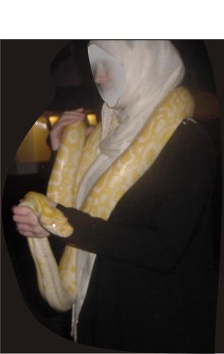 So ccool - This is an albino Burmese python, Massive in size and powerful. Due to their sober temperament they are quite popular in the pet trade. But only an experienced person is advised to keep them as a pet. Also normally when these pets are fed the owners take enough precautions.