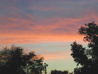 Florida Sunset - This was taken at sunset from our home. It was breathtaking and I wanted to share it.