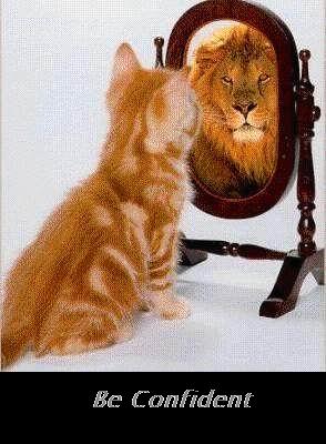 Be confident - confident about ur self Be confident - confident about ur self