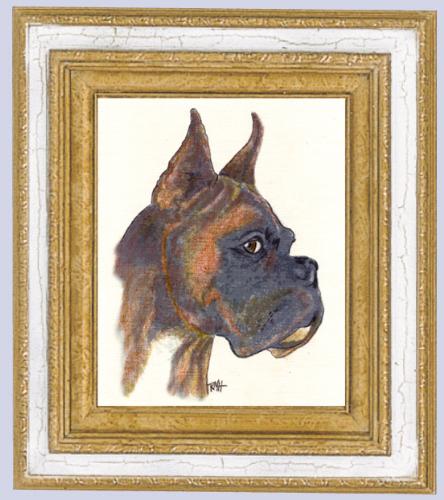 boxer on canvas - head shot of a boxer go to my web site www.yourbasicwebpage.com/art for more animal portraits