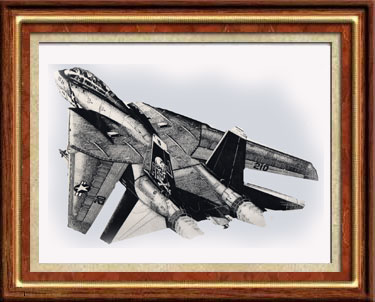 F14 Tomcat - aviation illustration