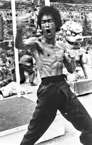 Martial Art - This is a picture of Bruce with his awesome body.