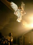 angel - i do, i do, i do believe in angels!!! hehee
