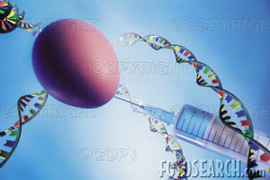 boon or curse - dna....genetic engineering boon or curse??